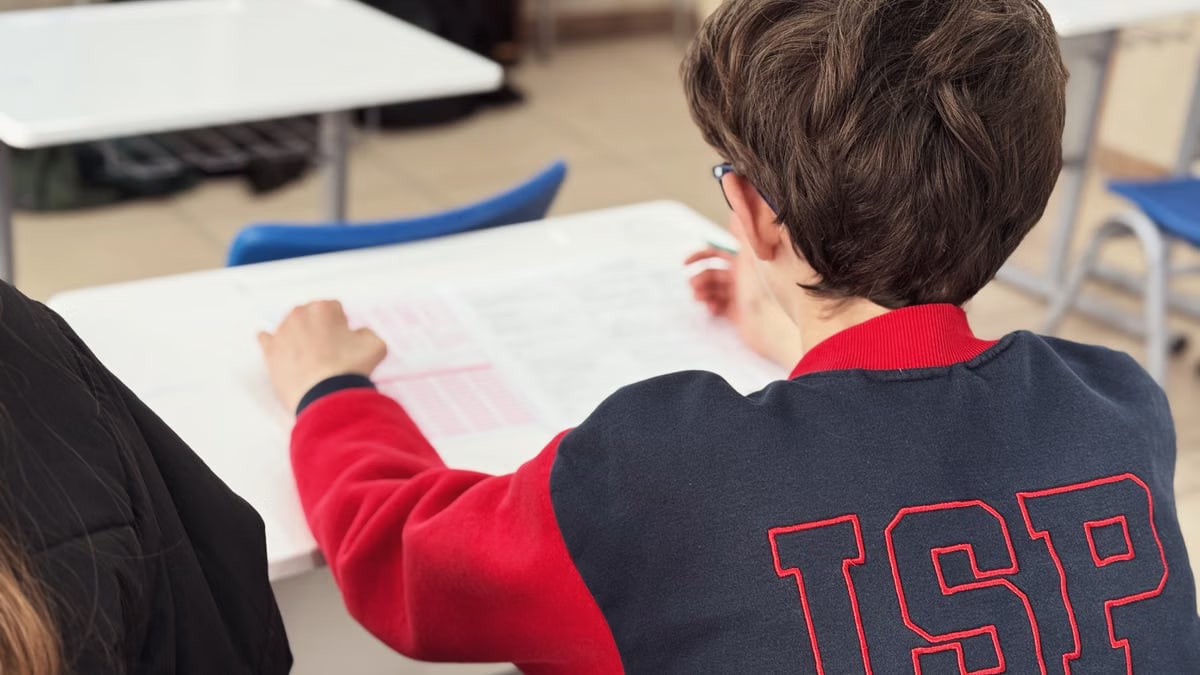 A student engaged in learning at an international school desk.